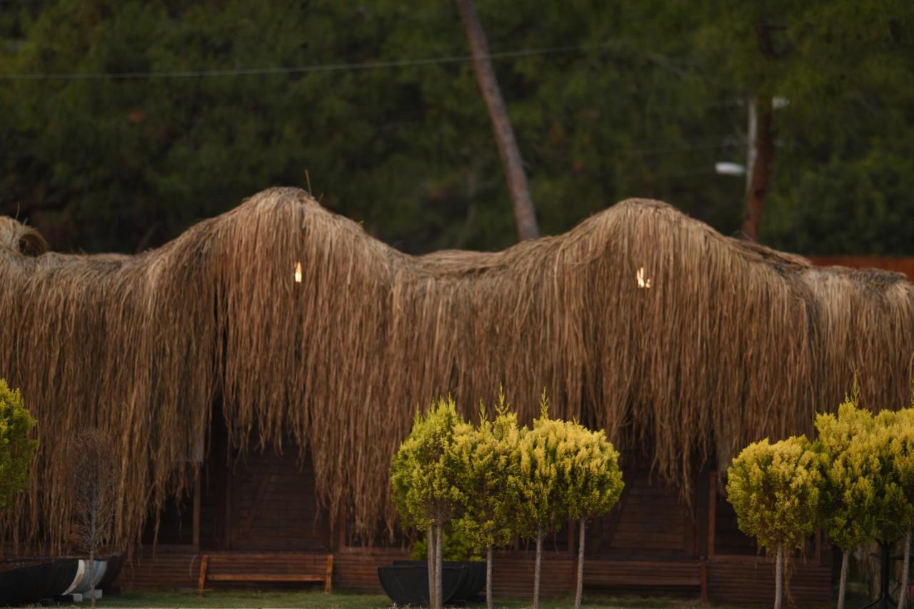 Green Pine Bungalows & Beach Luxury Concept Ölüdeniz Extérieur photo