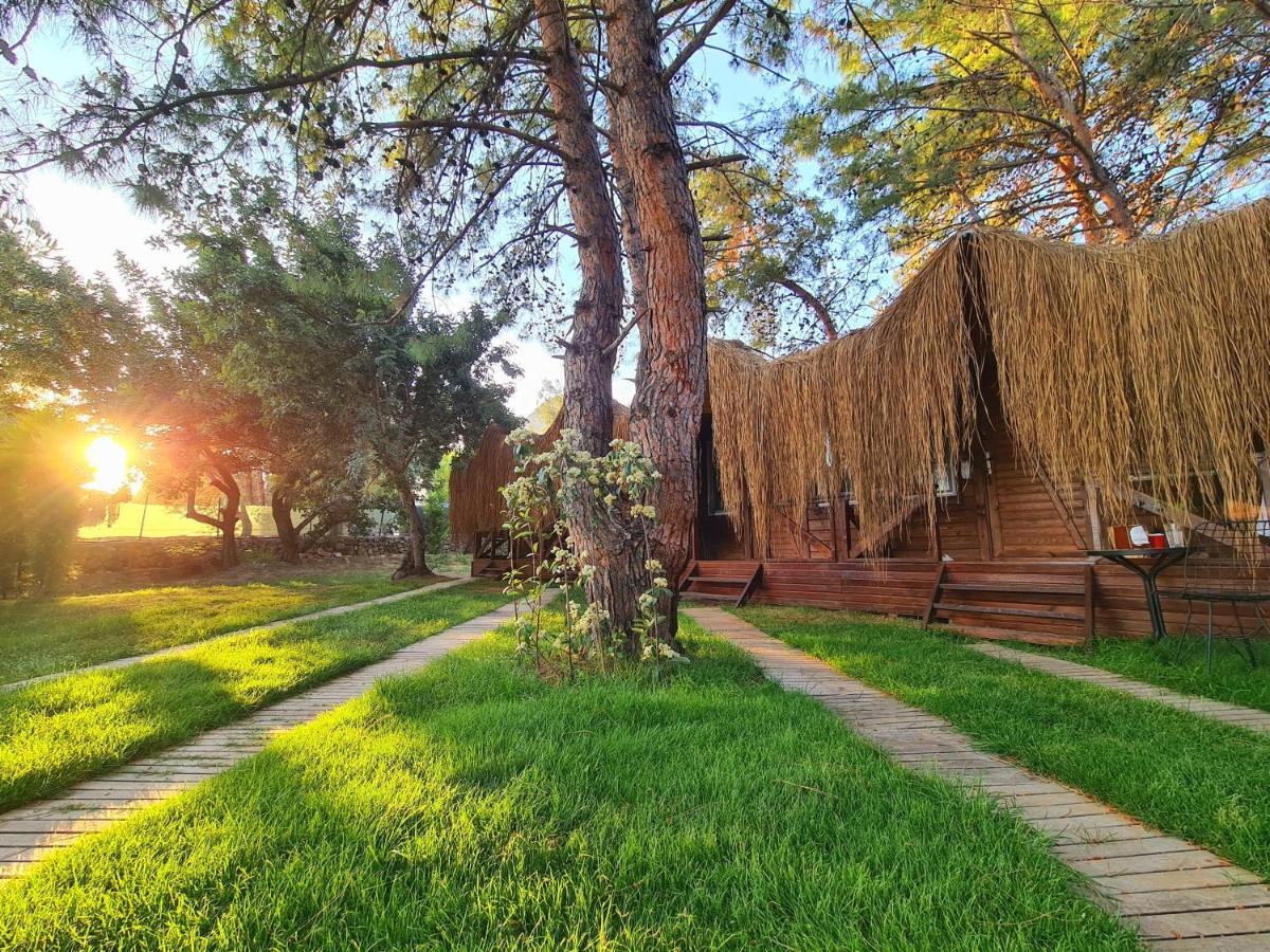 Green Pine Bungalows & Beach Luxury Concept Ölüdeniz Extérieur photo