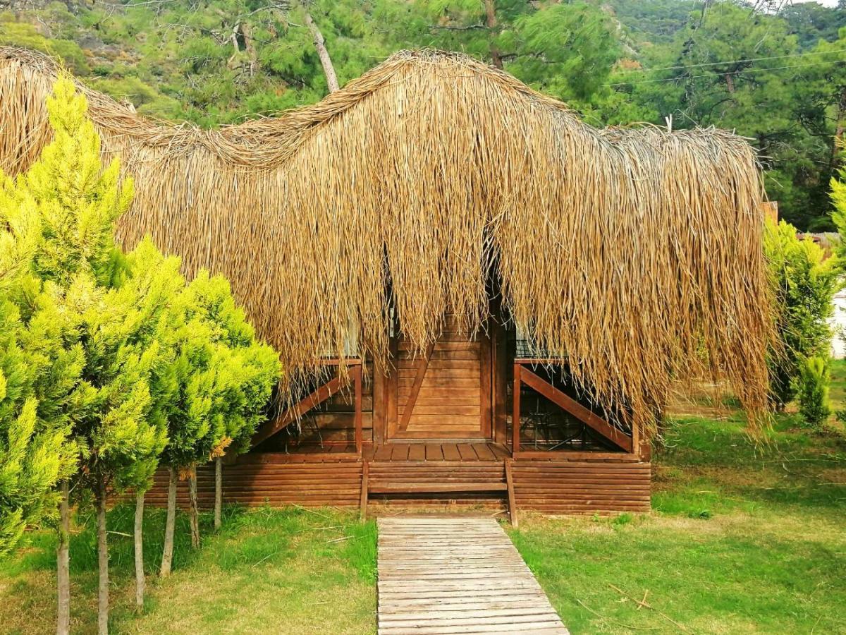 Green Pine Bungalows & Beach Luxury Concept Ölüdeniz Extérieur photo