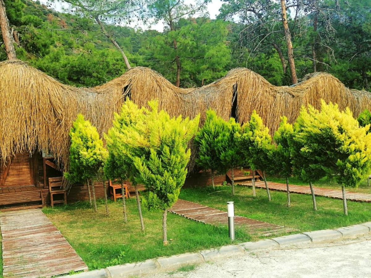 Green Pine Bungalows & Beach Luxury Concept Ölüdeniz Extérieur photo