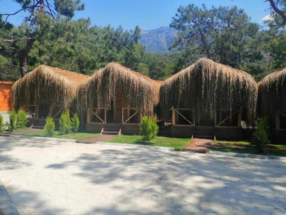 Green Pine Bungalows & Beach Luxury Concept Ölüdeniz Extérieur photo