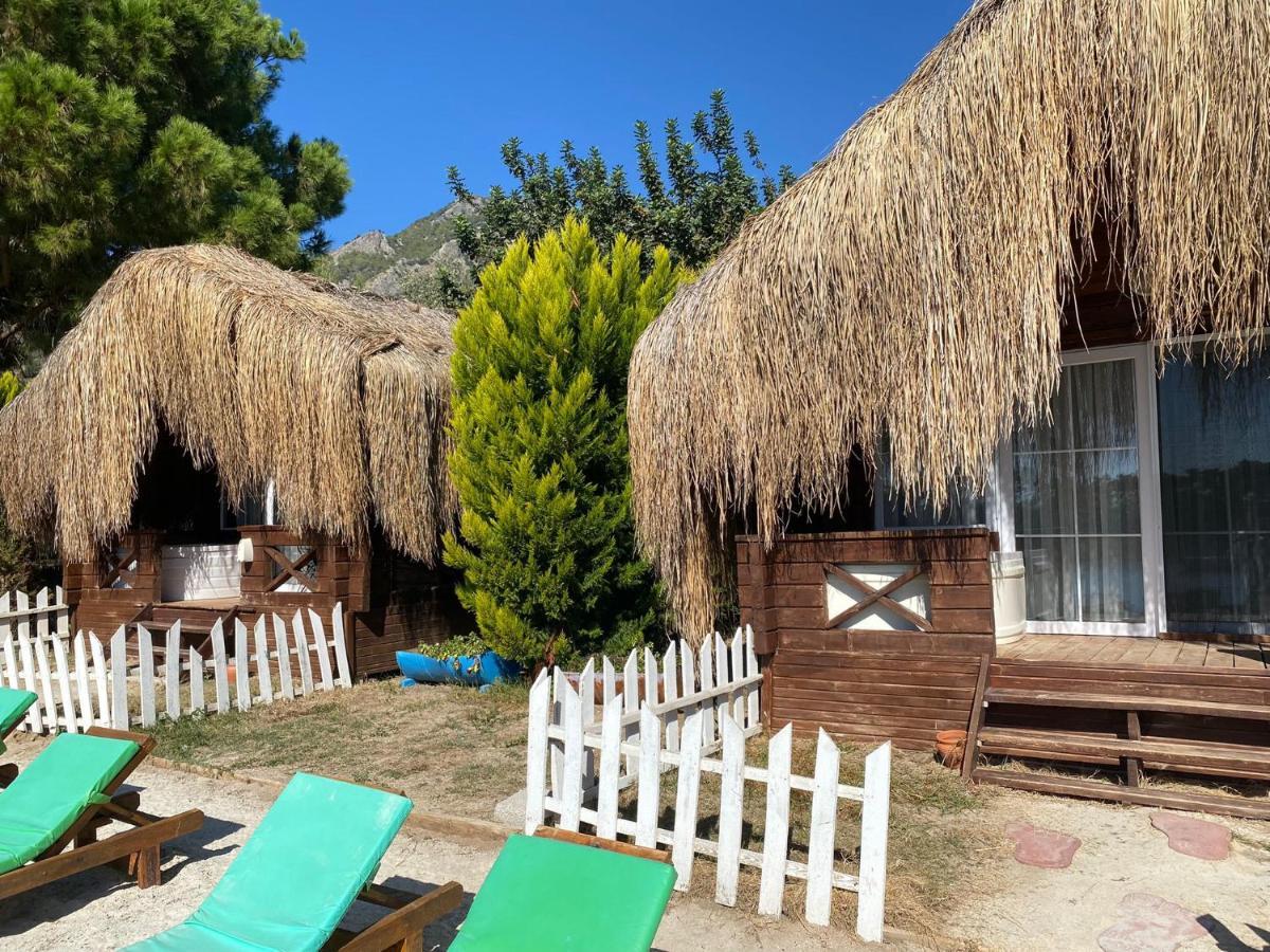 Green Pine Bungalows & Beach Luxury Concept Ölüdeniz Extérieur photo