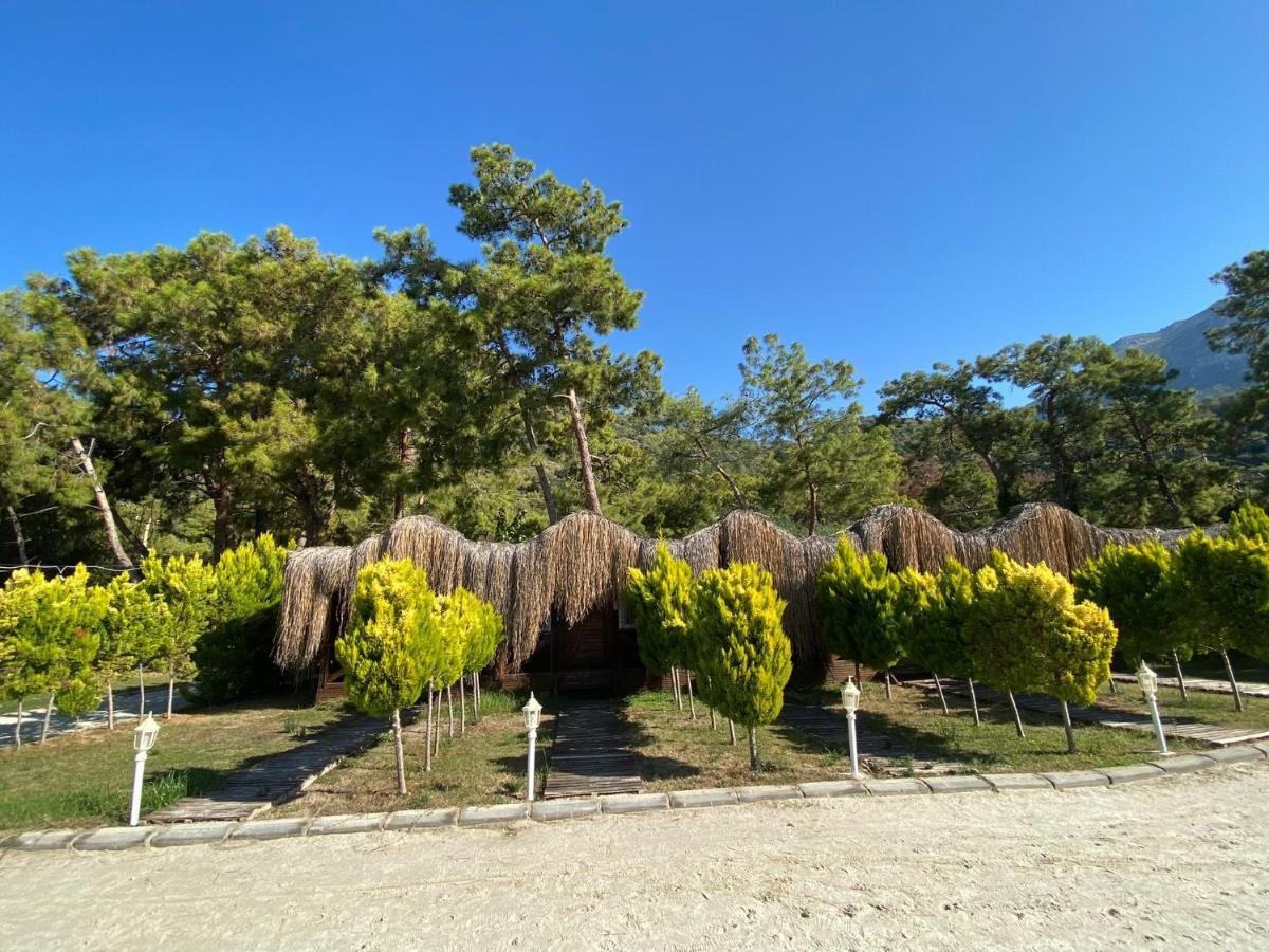 Green Pine Bungalows & Beach Luxury Concept Ölüdeniz Extérieur photo